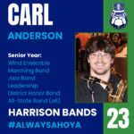 17861912720930619_harrison_bands