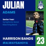 17940025943635403_harrison_bands