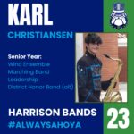 17977051028186657_harrison_bands